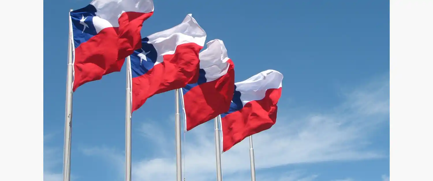 La comunidad chilena podrá votar desde Mar del Plata