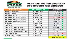 Vacas de conserva consiguieron repunte en el precio pero demanda sigue estancada