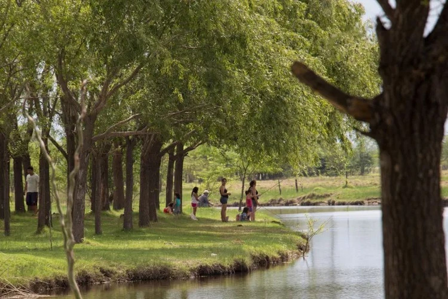 Marcos Paz: la Provincia licita la puesta en valor de la reserva natural "Arroyo El Durazno"