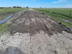 Octavo: Desagüe del Arroyo Portugués y preparativos festivos