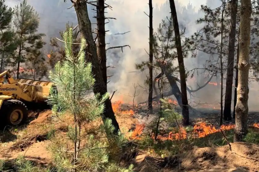 Pinamar en alerta por un incendio que afecta a la zona norte