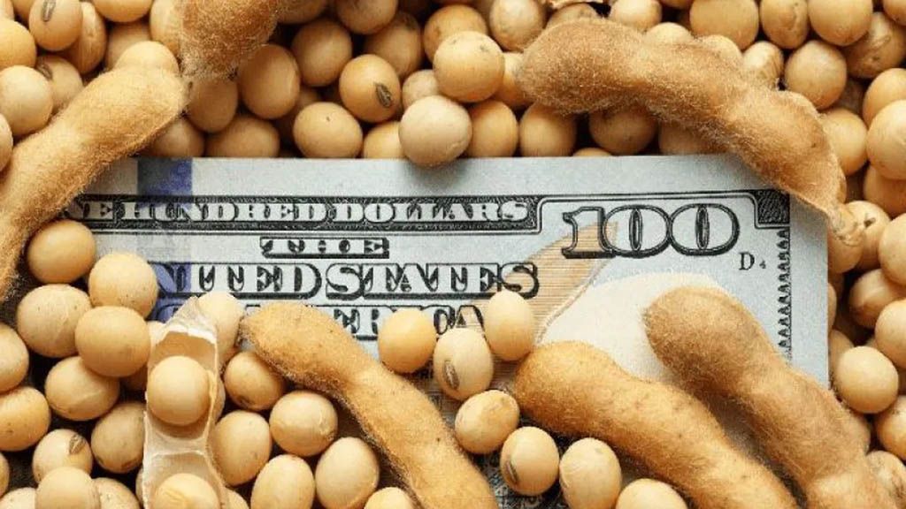 El “dólar soja” tuvo el mismo costo fiscal que bajar a la mitad las retenciones