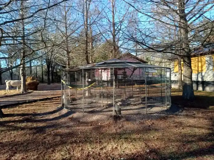 Solicitan el rescate de Guacamayos ubicados en un hotel de Gualeguay