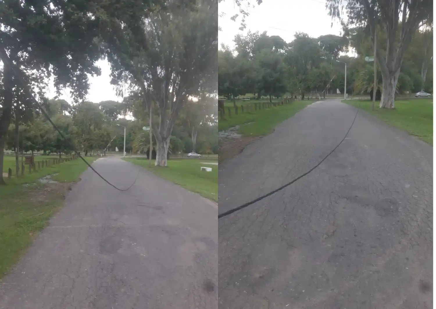 Vecinos reportan cables caídos en el Paseo Público