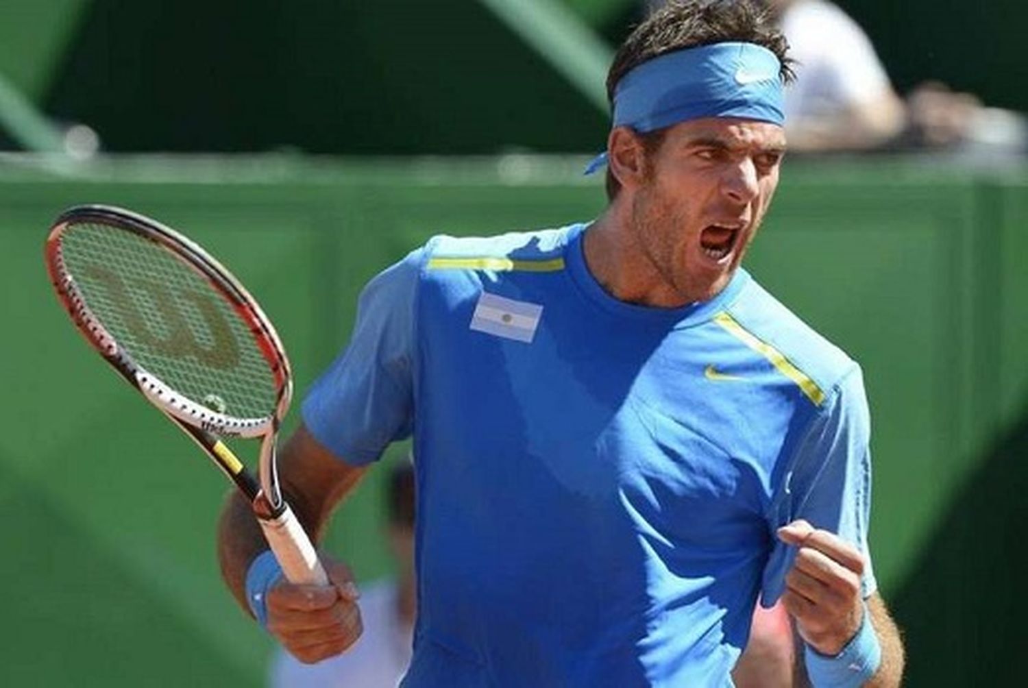 Juan Martín Del Potro fue elegido el mejor jugador de la Davis