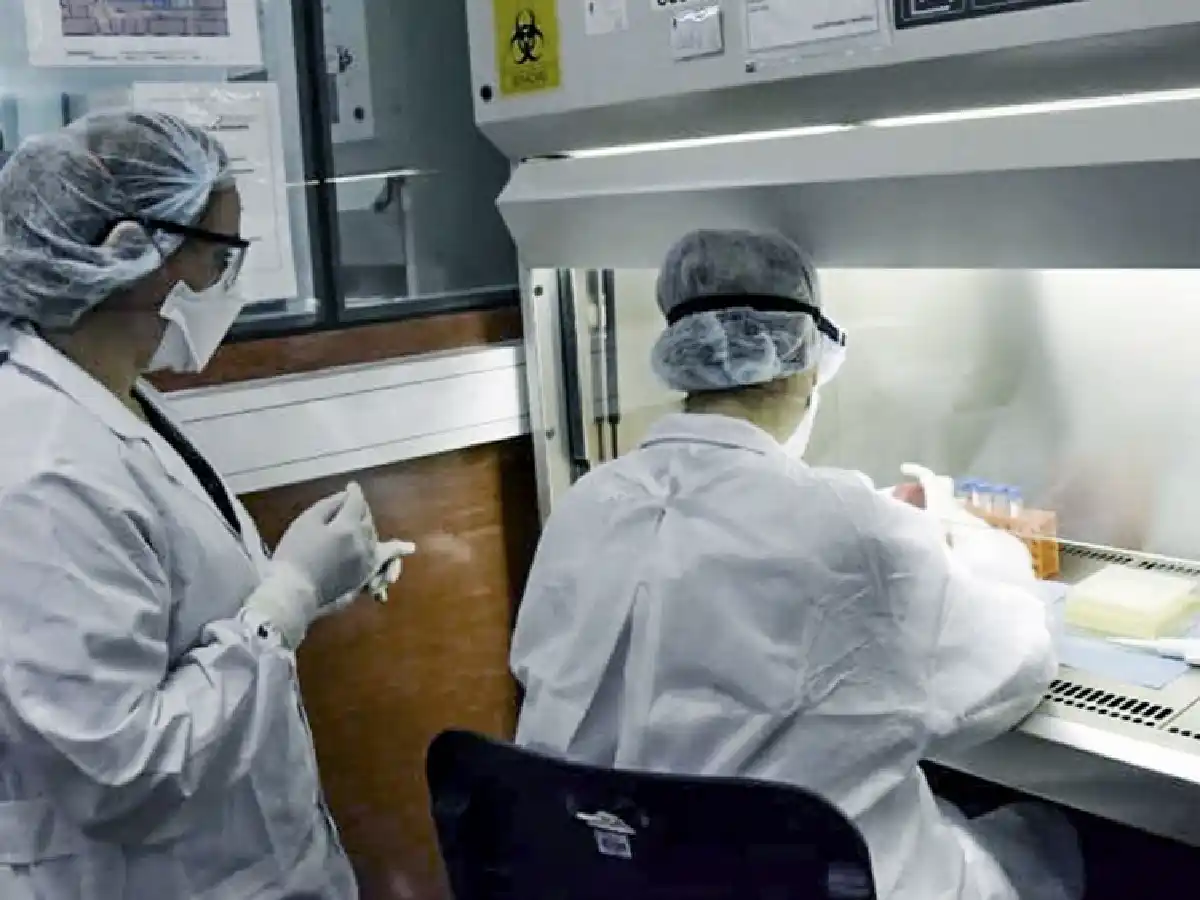 En el país registraron 8.037 casos de coronavirus