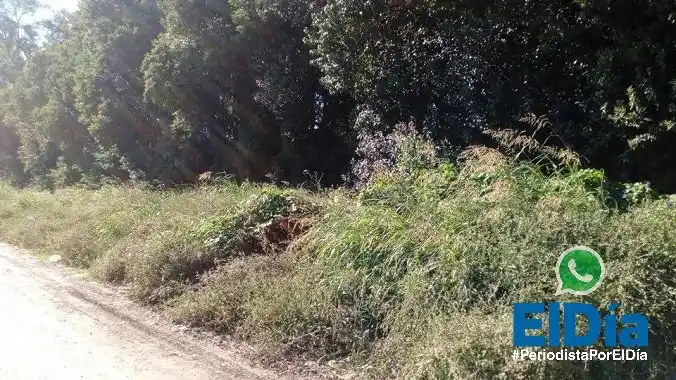 Vecinos de calle San Martín reclaman por terrenos y veredas