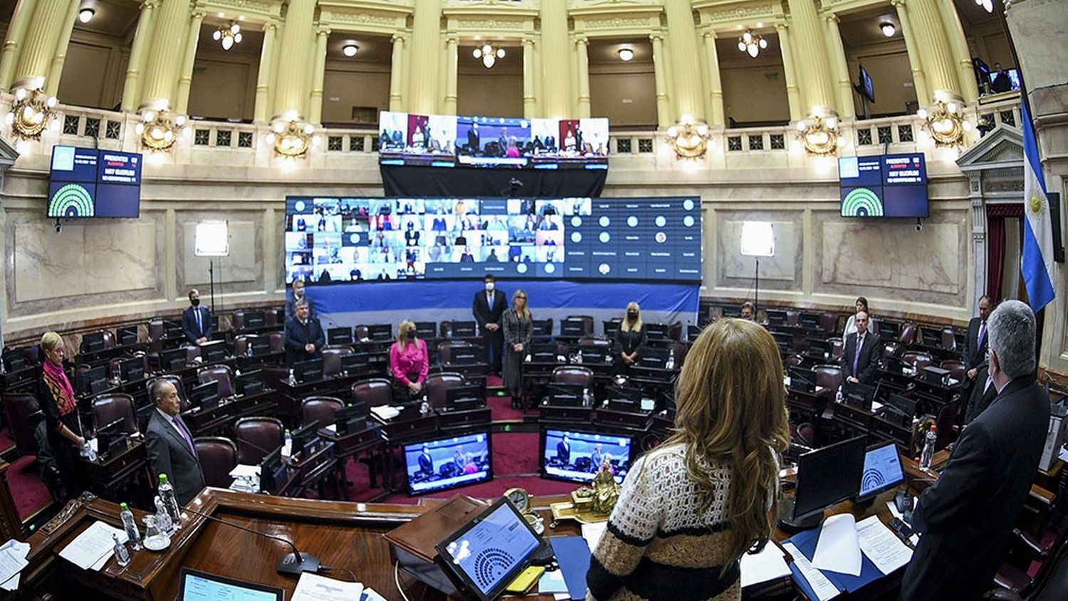 Tras un año y medio, el Senado vuelve a las sesiones presenciales