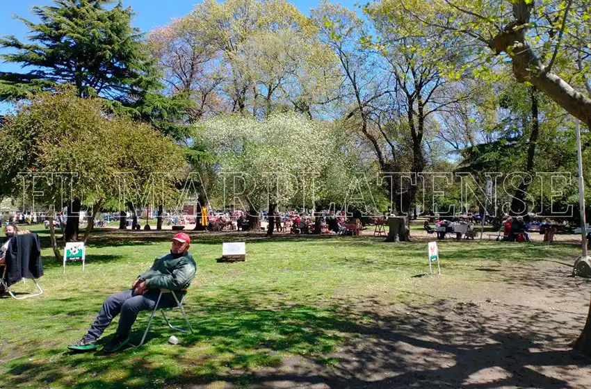 Festival al aire libre: “Sembrando cultura, cosechamos libertades”