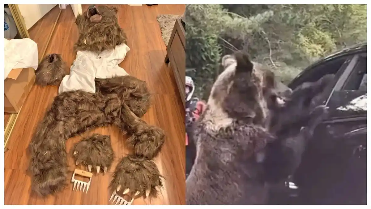 USARON este «TIERNO» disfraz para intentar engañar a una empresa de seguros