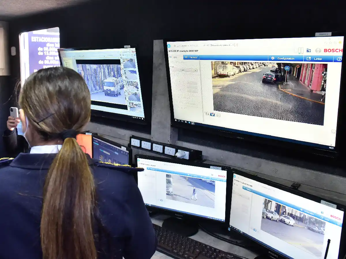 Por las cámaras detuvieron al ladrón de un comercio del centro 