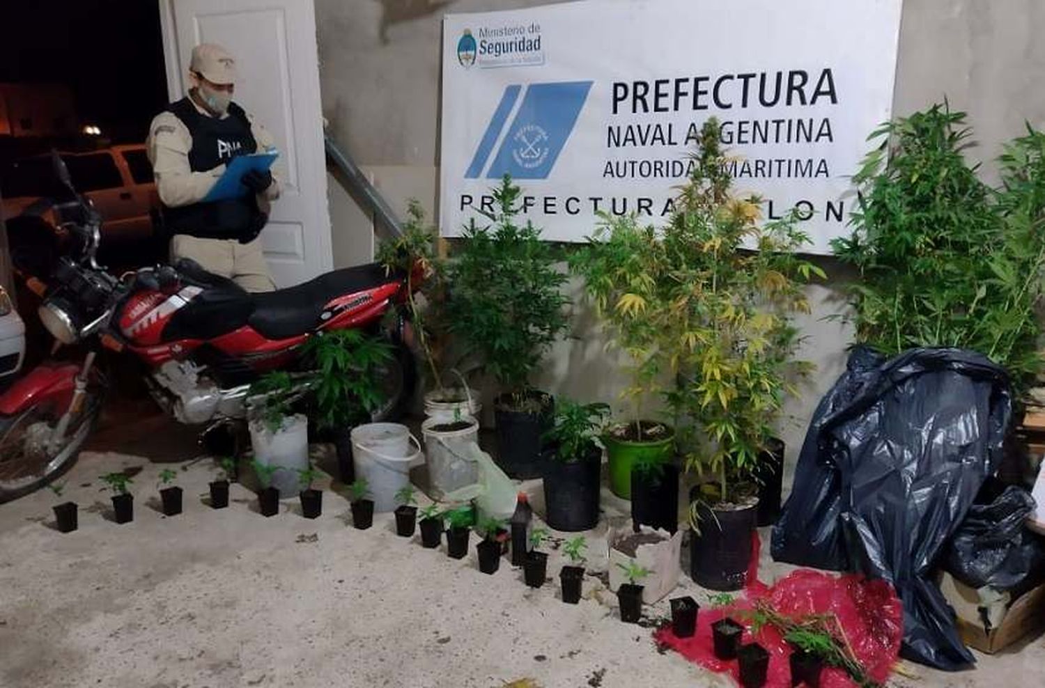 Entre Ríos: detuvieron a dos personas e incautaron gran cantidad de marihuana