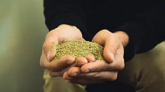 Conflicto detrás de la cautelar que suspendió un capítulo del DNU de Milei