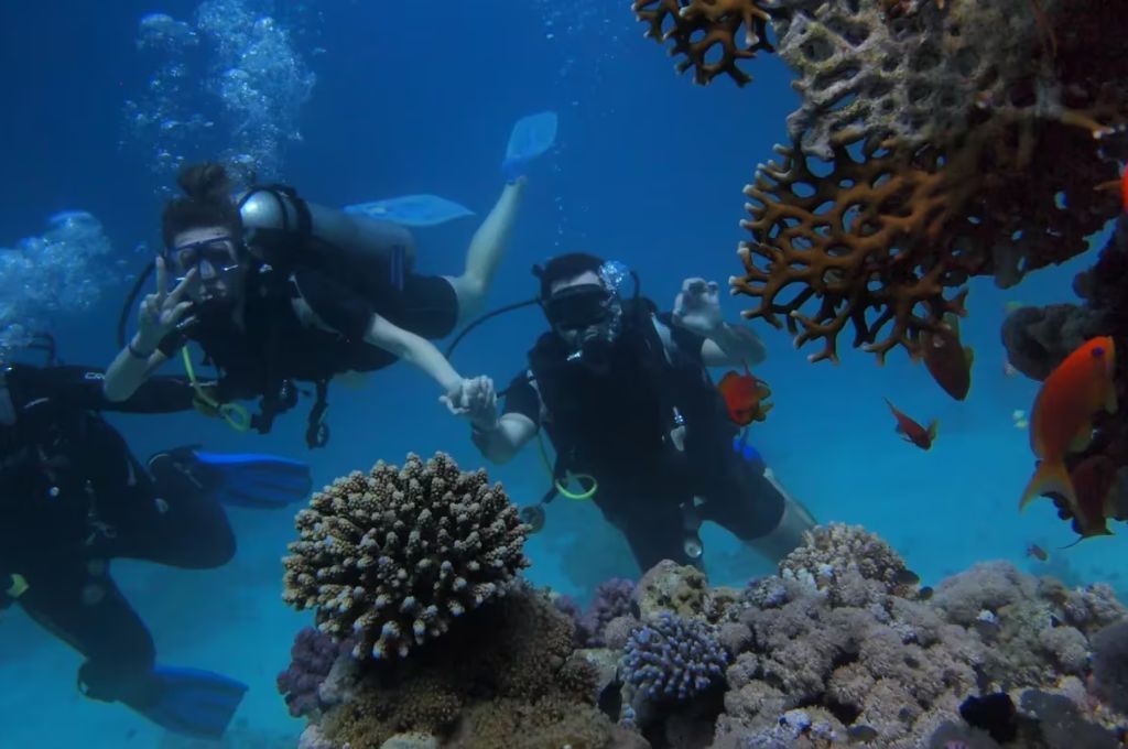 Buceo