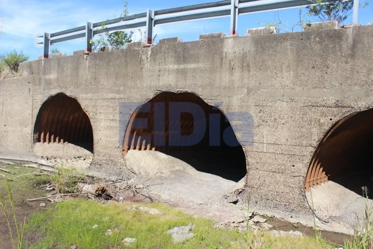 La falta de precipitaciones está secando los arroyos y lagunas