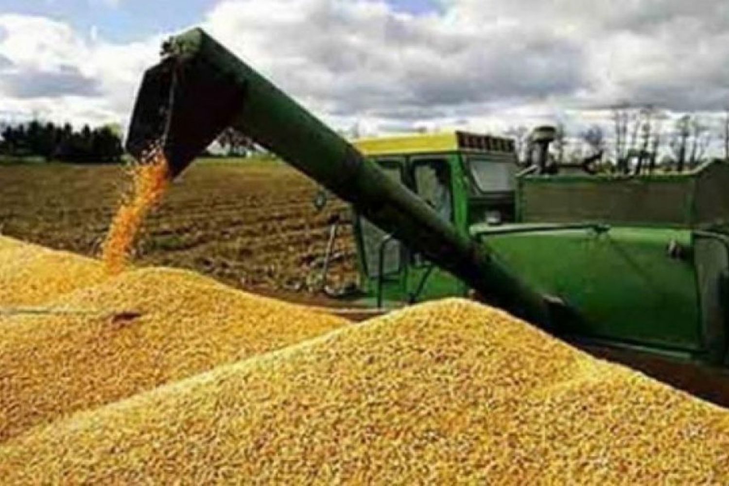 El agro liquidó US$1.966 millones en diciembre y totalizó ingresos por más de US$25.000 millones en 2024