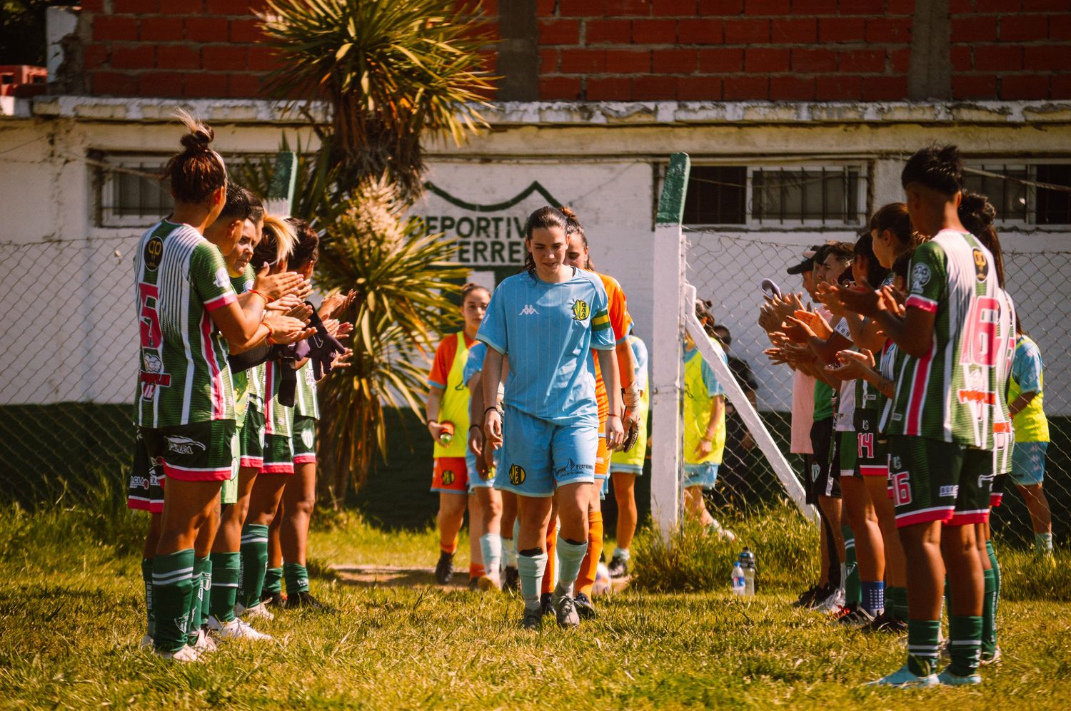 Aldosivi femenino