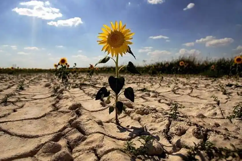 Cambio climático, un fenómeno que no distingue fronteras
