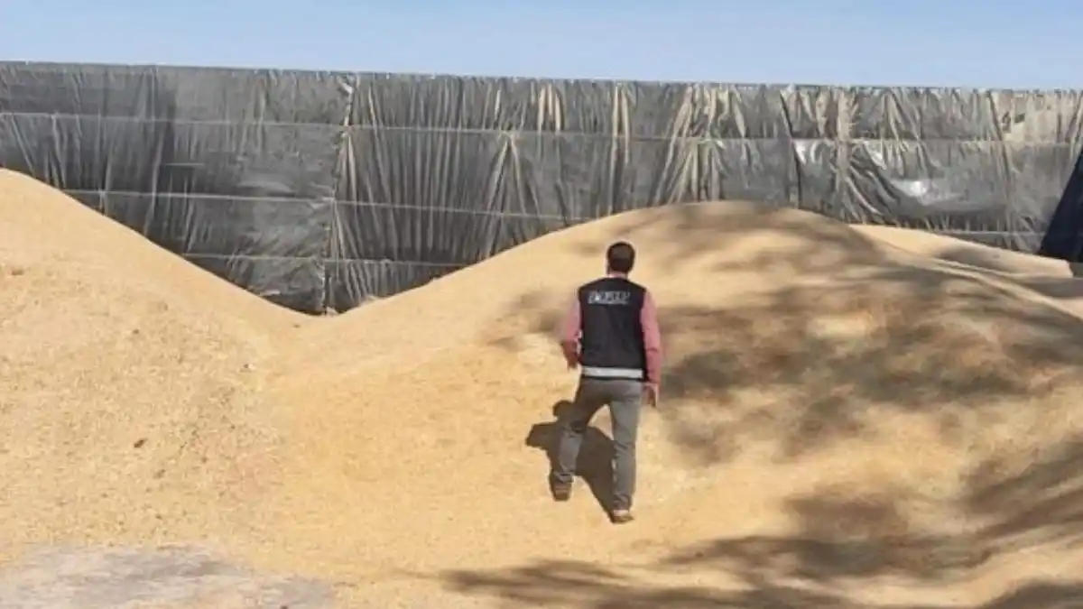 La AFIP detectó más de 2.900 toneladas de granos no declarados