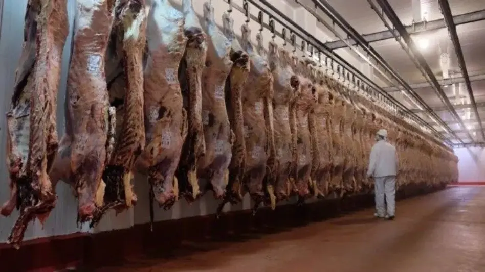 El fin de la media res divide a la industria frigorífica: "El objetivo de esta medida es exportar la carne"