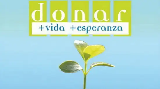 La voluntad de donar órganos se podrá expresar en el DNI
