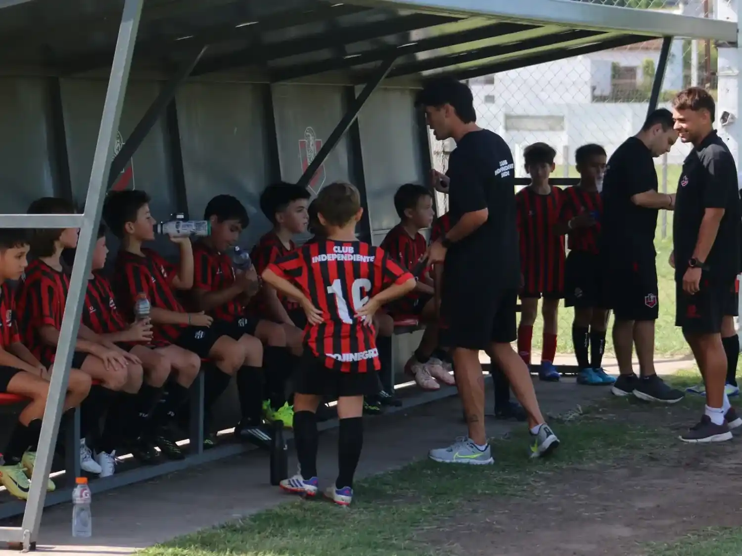 Independiente