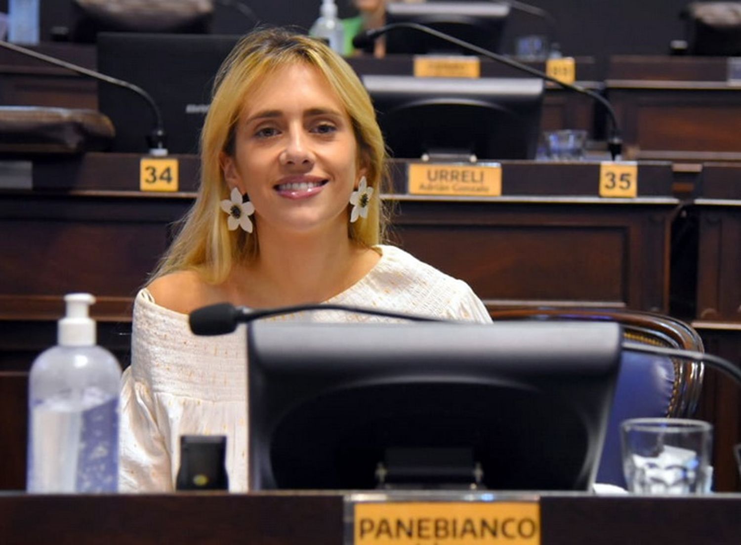 La diputada provincial Panebianco, de Juntos, autora del proyecto