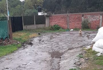 En Jardín de Peralta Ramos están cansados de la inseguridad: “No se puede salir en ningún horario porque te roban”