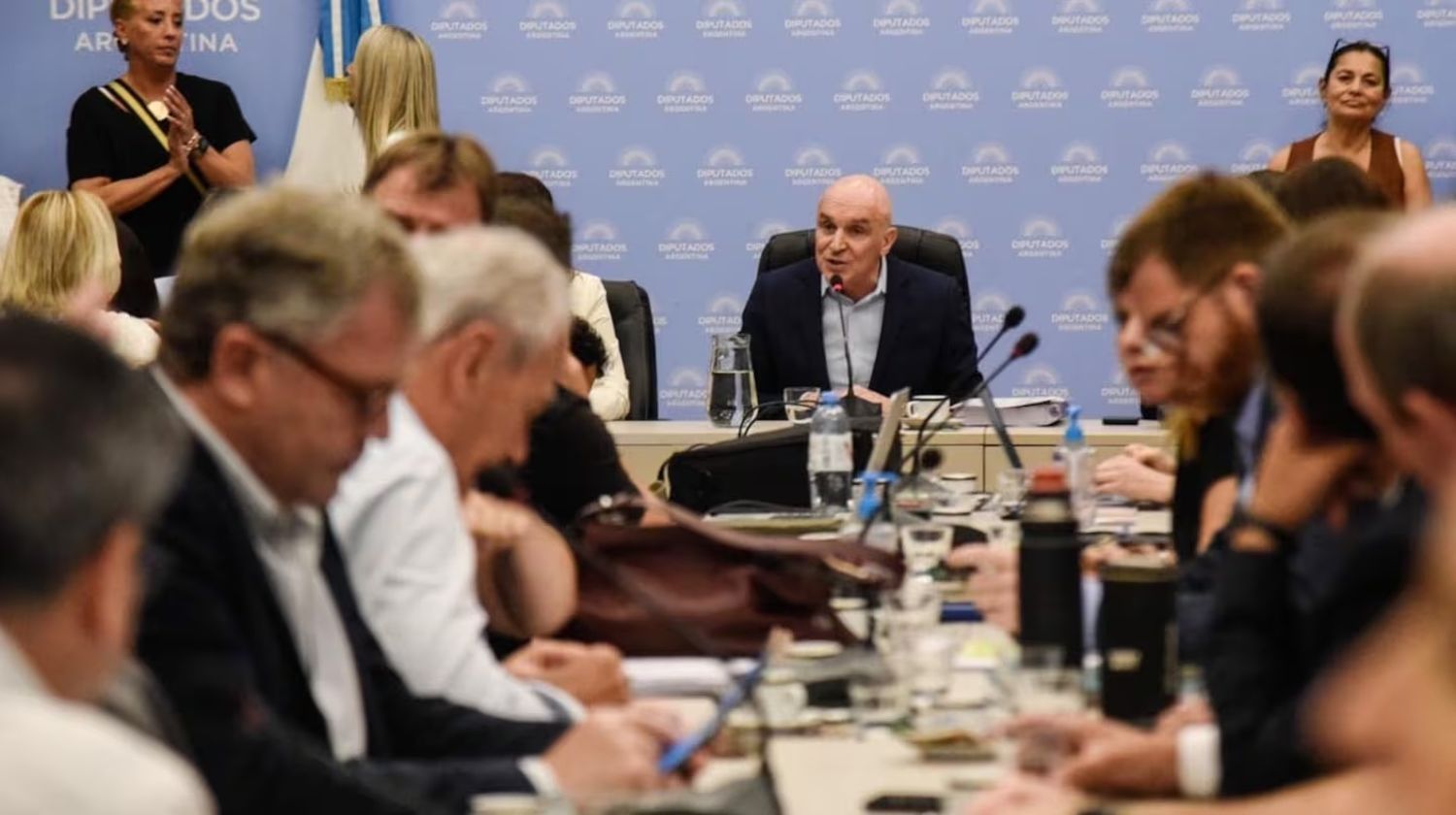 José Luis Espert preside la comisión de Presupuesto y Hacienda de la Cámara de Diputados que debatirá el Presupuesto 2025 (Foto: NA).