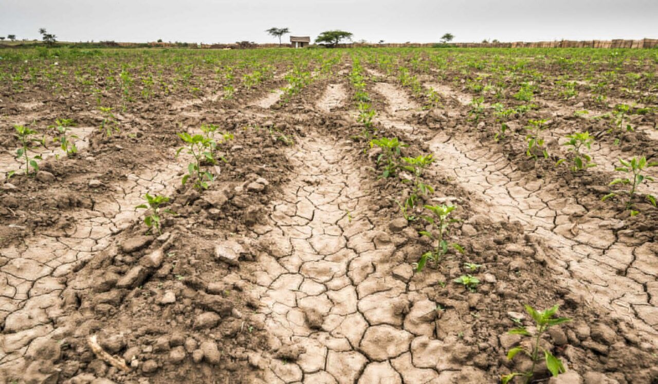 Cómo se originan El Niño, La Niña y por qué se espera una fase neutra
