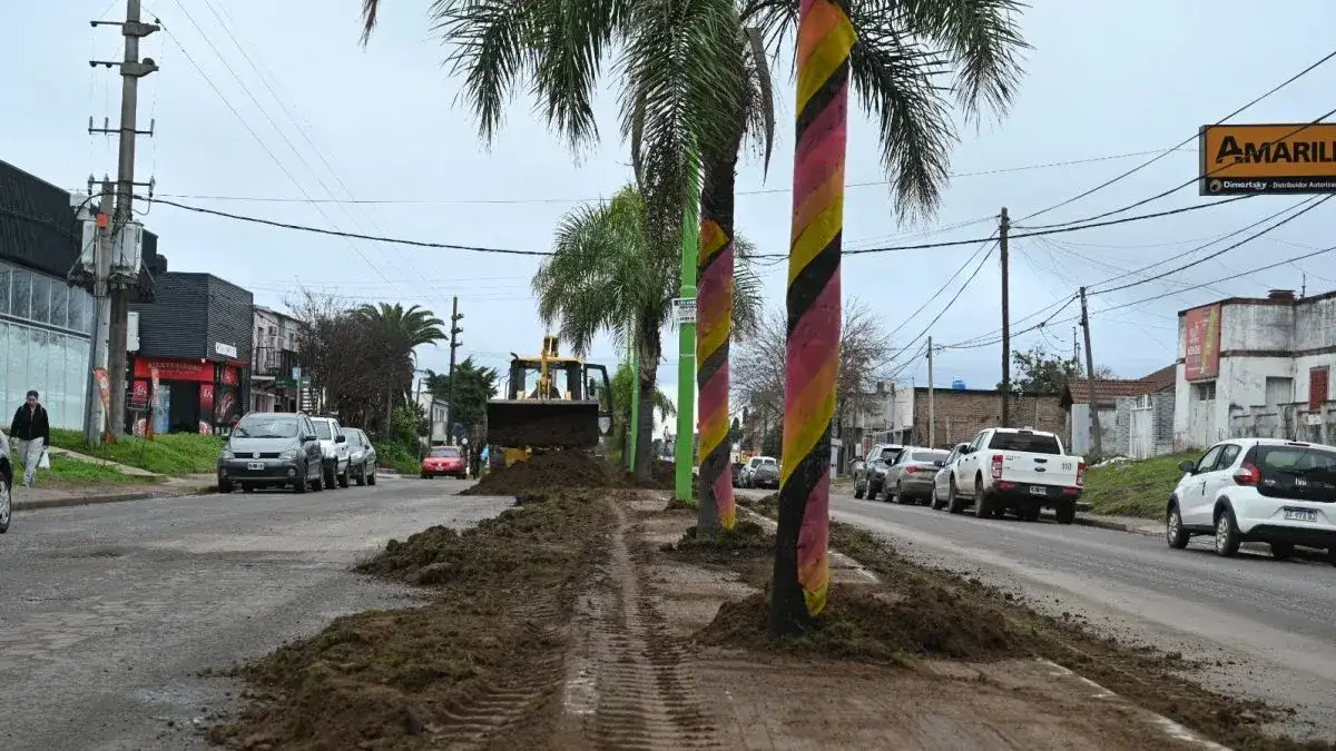 Realizaron trabajos de nivelación y limpieza en los canteros del boulevard Daneri
