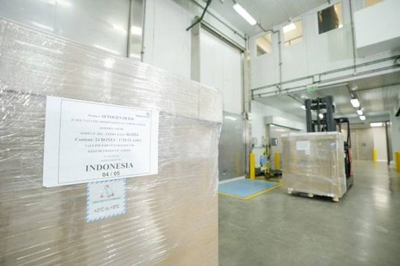 La Argentina inició la  exportación de vacunas contra  la fiebre aftosa a Indonesia