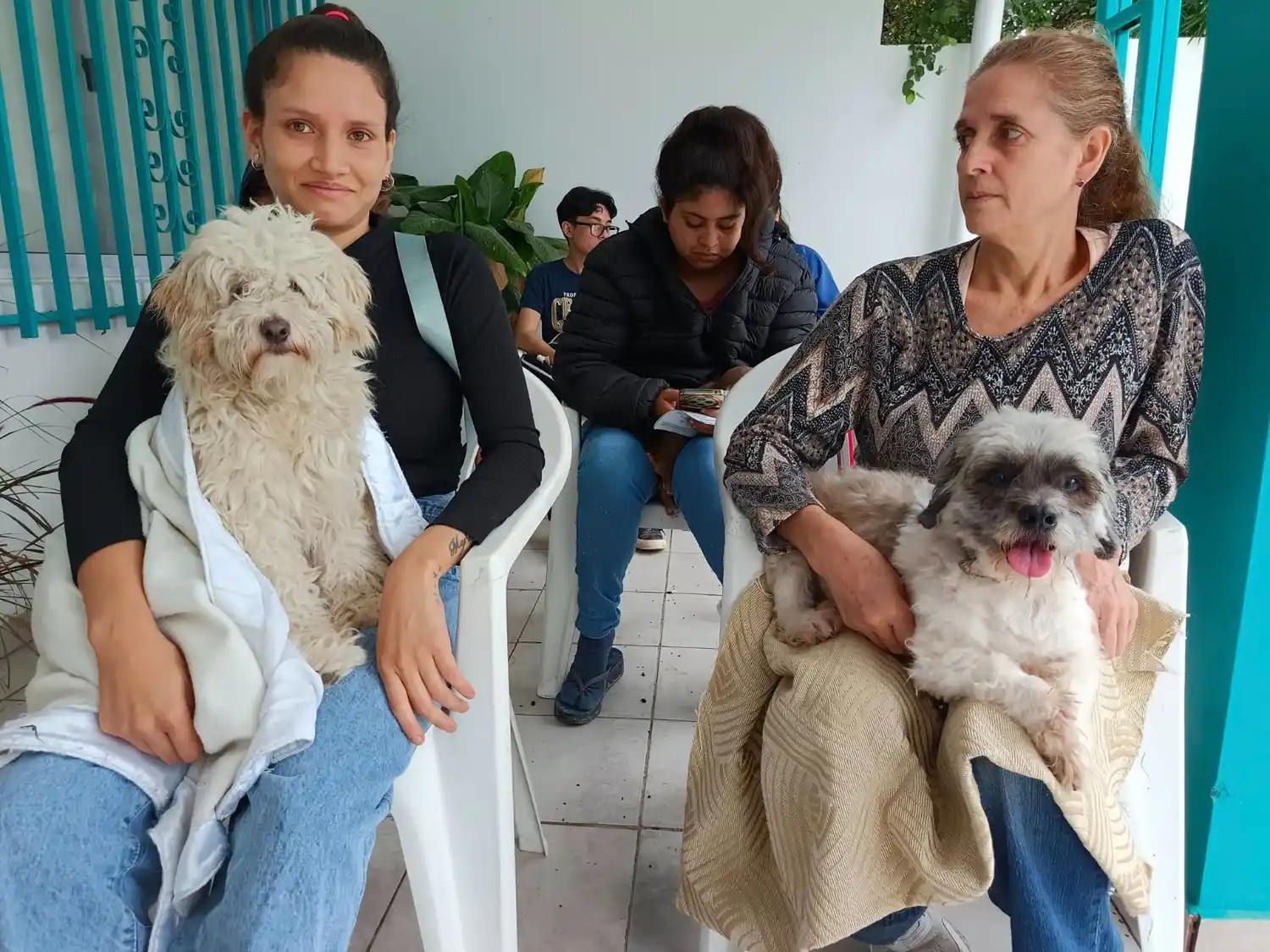 Continúa el servicio de asistencia a los animales en la ciudad