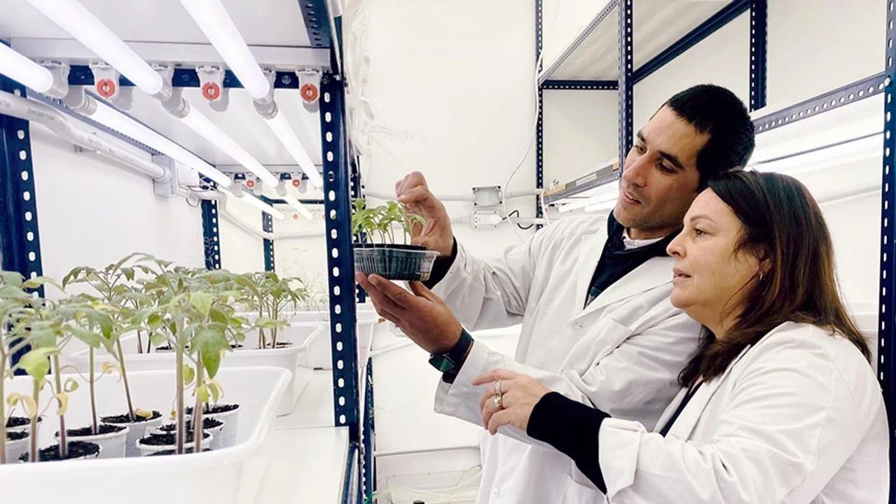 Científicos del CONICET participan en un proyecto internacional para transformar residuos cerveceros en bioestimulantes y cervezas funcionales