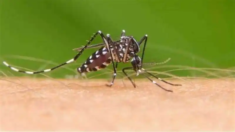 Informaron a la población sobre los centros de salud
y hospitales donde realizarse el análisis de dengue