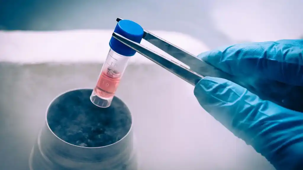 Congelamiento de óvulos, el método para conservar la fertilidad.