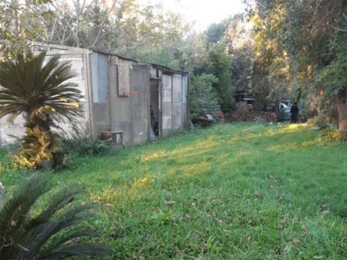 Un hombre murió al ser atacado por un pitbull en Timbúes