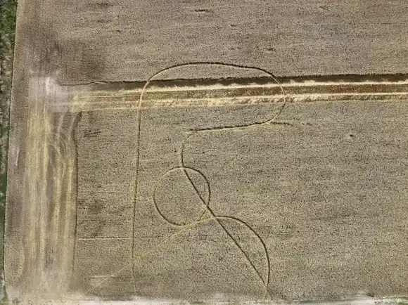 Aparecieron misteriosas figuras en dos campos del norte santafesino y generó desconcierto entre los productores