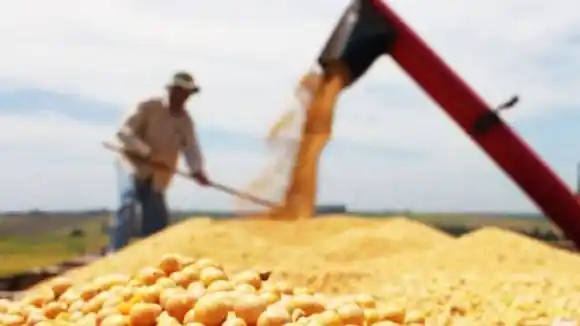 Con el dólar soja, las toneladas  negociadas aumentaron un 68 %