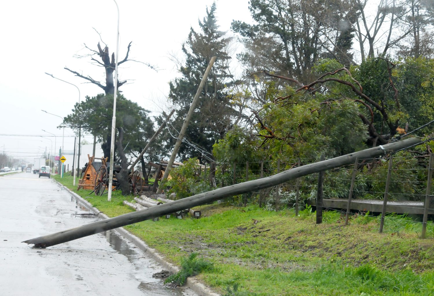 Temporal 09-09-21 (4)