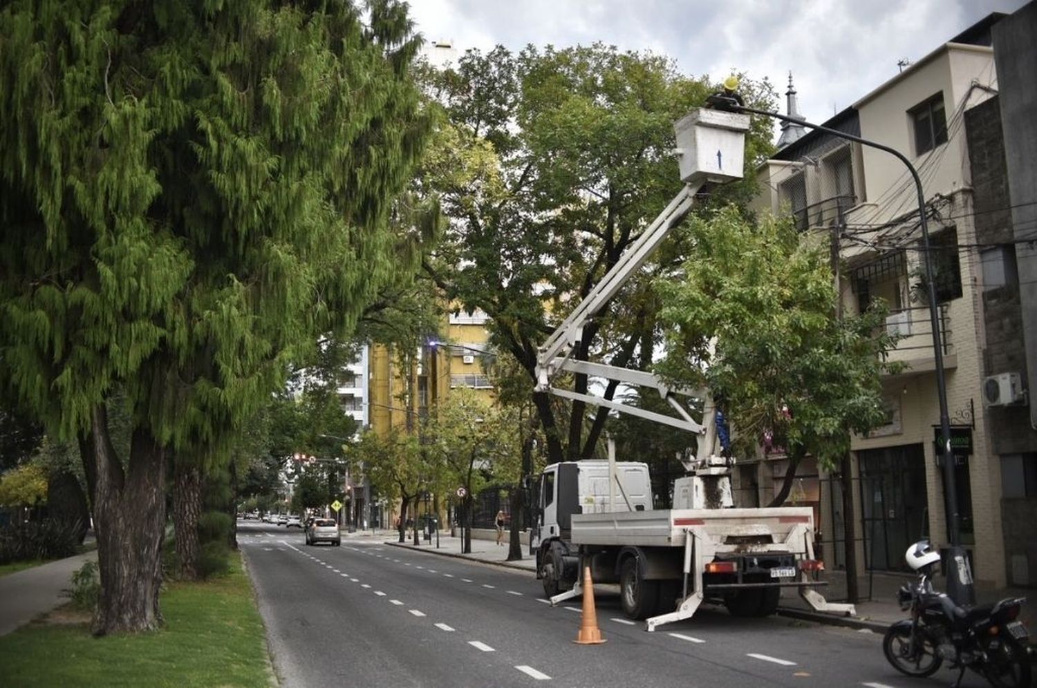 Comenzó el recambio de las luminarias sobre Bulevar Gálvez y Pellegrini