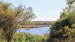 Gualeguay por los Humedales