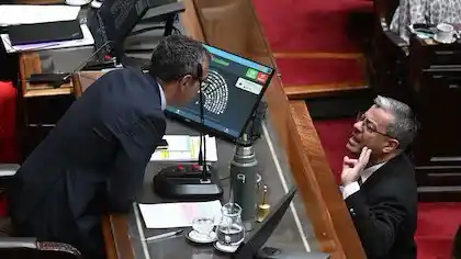 En medio de la sesión por “Ficha Limpia”, el diputado Germán Martínez invitó a pelear a Martín Menem