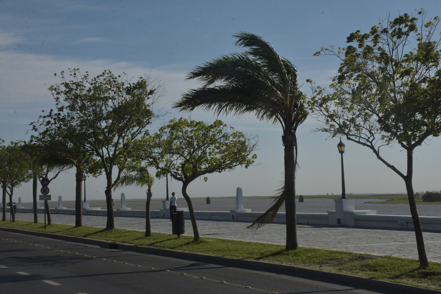 Jornada con viento