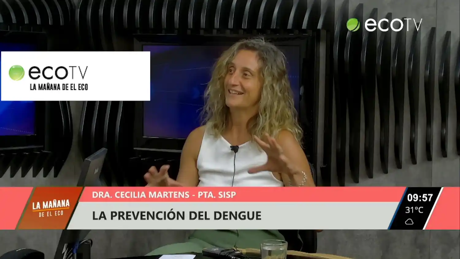 La prevención del dengue en Tandil