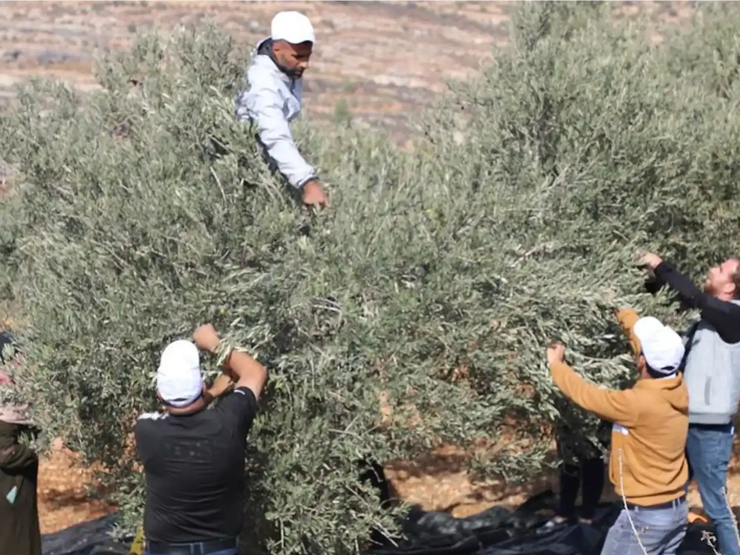 ONU: la represión israelí contra los palestinos alcanza niveles alarmantes