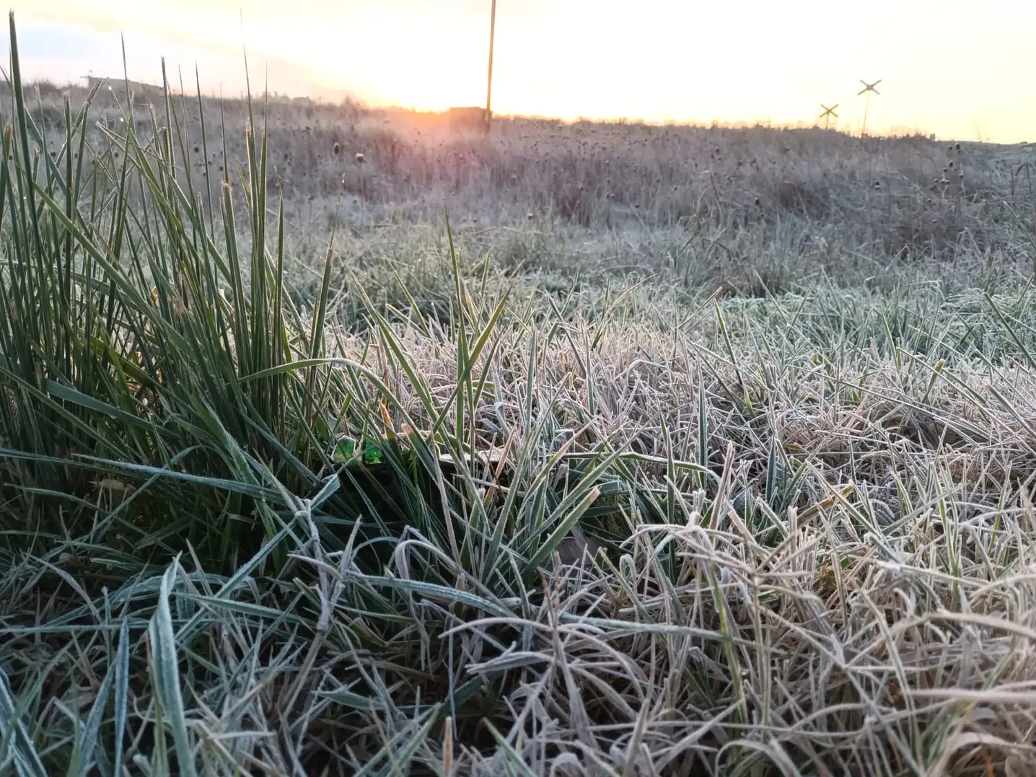 Helada en Tandil.