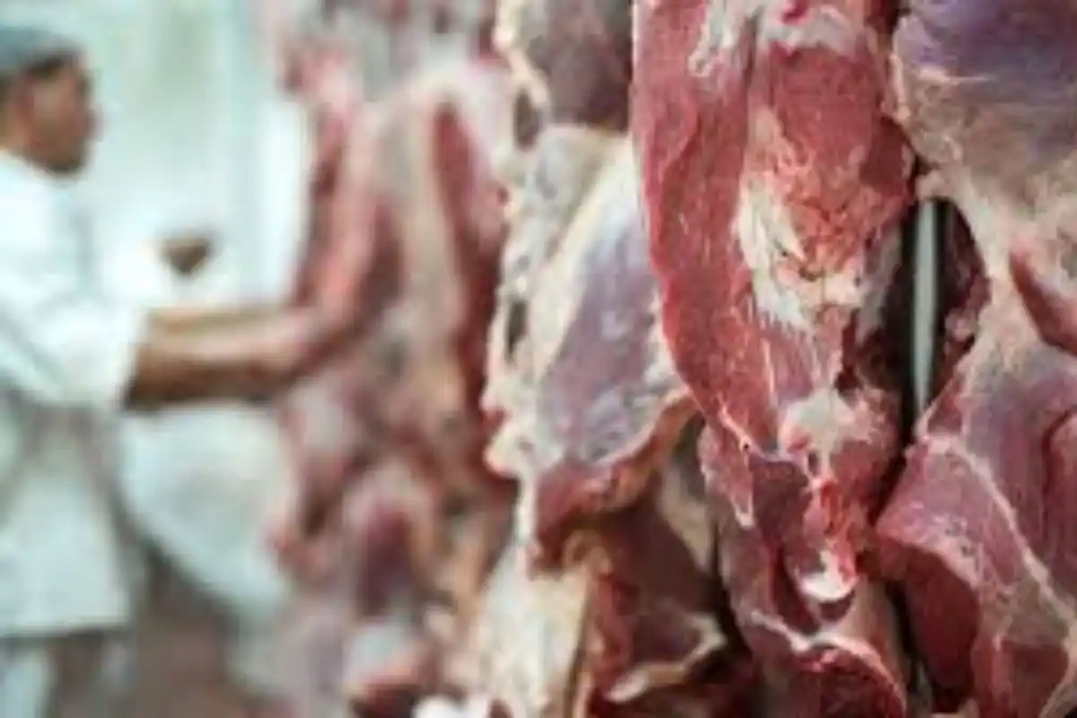 Marzo registró un total de 232,3 millones de dólares en ingresos por exportaciones de carne vacuna