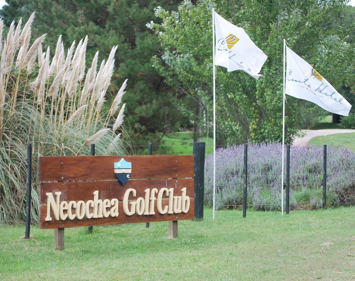 ¿Una calle con el nombre del Golf Club de Necochea?
