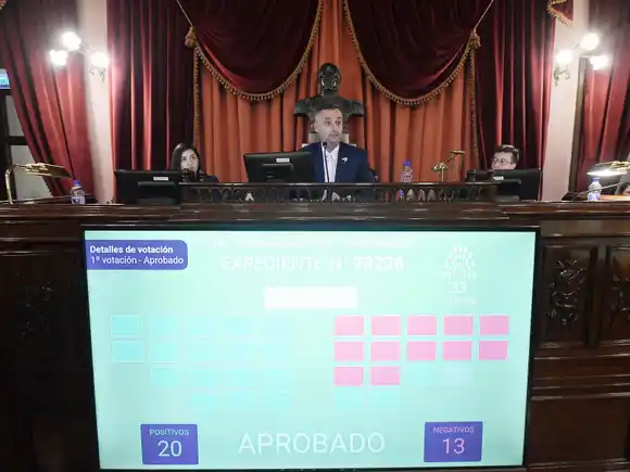 Diputados convirtió en ley el proyecto de creación de la OSER